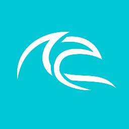 Swellnet: Surfcams & Forecasts: Download & Review