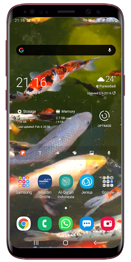 Fish Live Wallpaper Screen 3