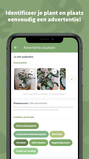 Plantigo Screen 3