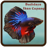 Budidaya Ikan Cupang icon
