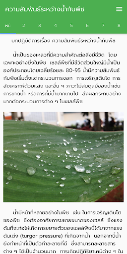 Android application ความสัมพันธ์ระหว่างน้ำกับพืช screenshort