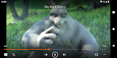 VLC for Androidのおすすめ画像2