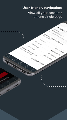Screenshot of HSBC HK Business Express