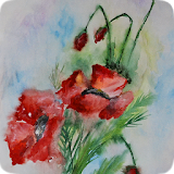 Poppies. Flower watercolor icon