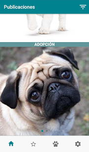 Chuby - adopta un perro, gato Screenshot