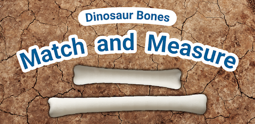 Match and Measure - US