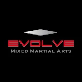 Evolve MMA icon