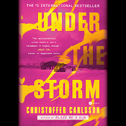 Icon image Under the Storm: A Novel
