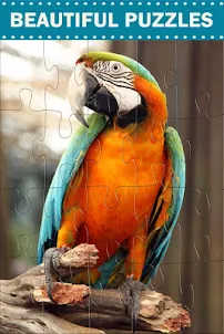 Amazing Birds - Jigsaw Puzzles