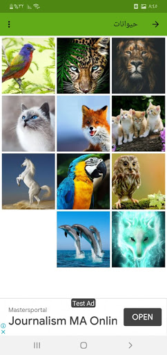 HD Mobile Wallpapers