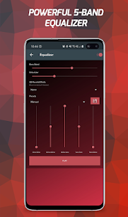 Free Pi Music Player – MP3 Player, YouTube Music 5