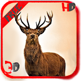 Deer Hunter 3D Free Game 2015 icon