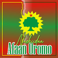 Nashiidaa Afaan Oromo Mp3