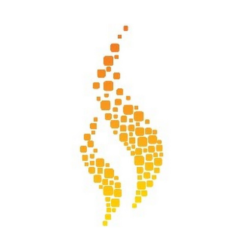 Saviour logo