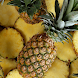 Pineapple Live Wallpaper - Androidアプリ