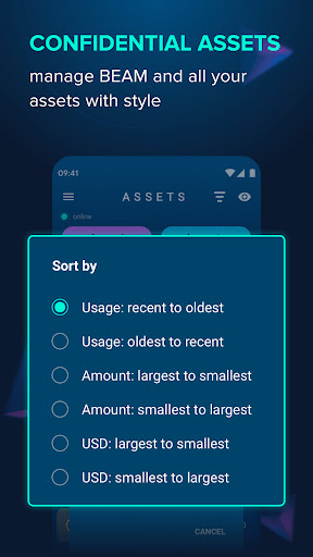 Beam Wallet Screen 2