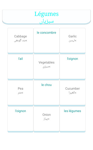 Learn French in Urdu Screen 3