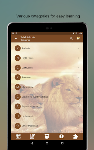 Screenshot of Wild Animals