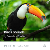 Birds Sounds icon