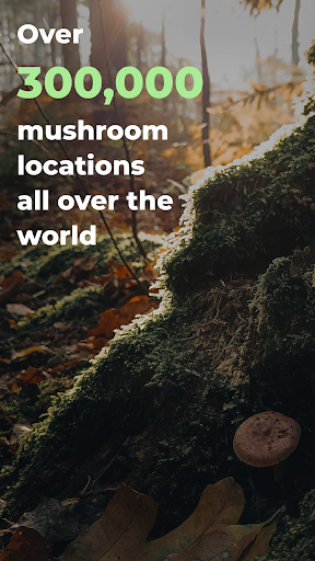 Android application Mushroom Spot: mushroom map screenshort
