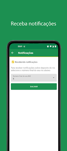 Calendário Auxílio Brasil Screen 2