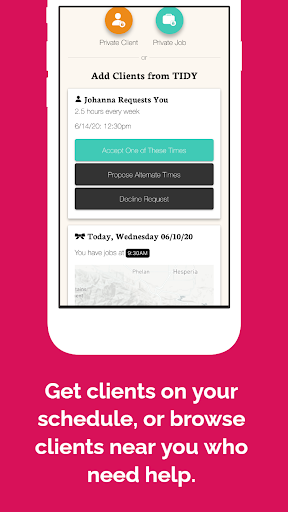 TIDY for Pros Screen 2