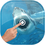 Magic Touch - Shark In Water  Icon