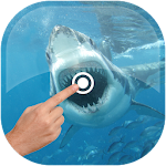 Magic Touch - Shark In Water Apk