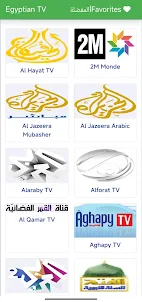 Egypt TV