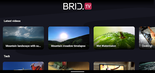 BridTV Screen 2