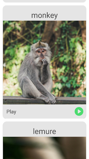 Animal Voice Screen 2
