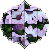 Flower Photo Puzzle icon