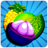 Sweet Fruit : Jelly Splash icon