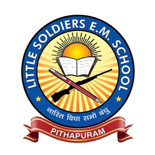 LITTLE SOLDIERS EM SCHOOL logo