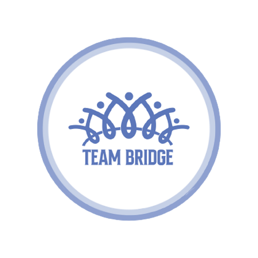 Team Bridge Descarga en Windows