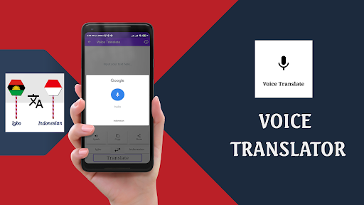 Igbo To Indonesian Translator Screen 3