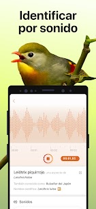 Picture Bird – Reconocer Aves APK/MOD 3