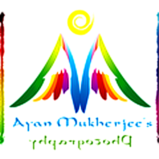 Artist Mukherjees Creativity logo