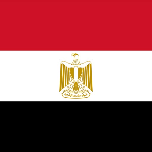 Egypt Flag & National Anthem logo