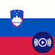SI Radio - Slovenian Radios - Androidアプリ