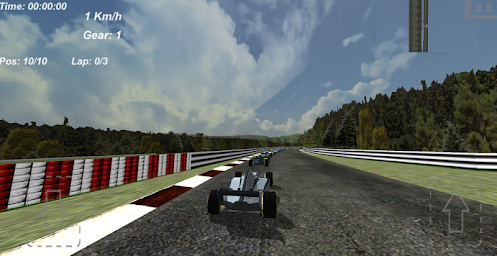 Formula Fast Race