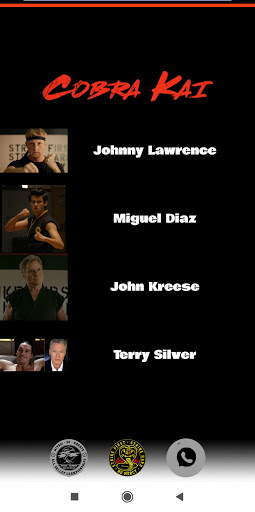 Wiki Cobra Kai - Guia Completa Screen 2