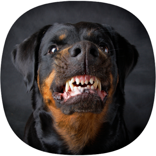 Barking Dog Ringtones logo