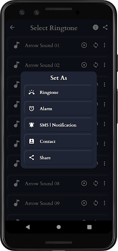Arrow Sounds Screen 3