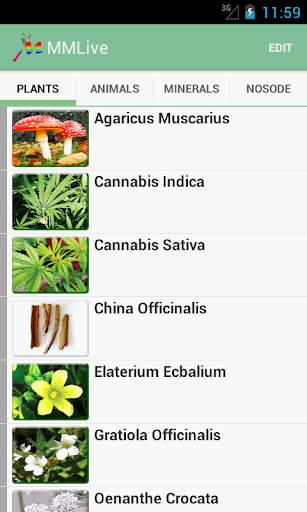 Homeopathic MMLive Pro Screen 2