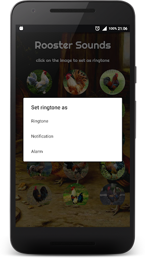 Rooster Sounds Screen 2