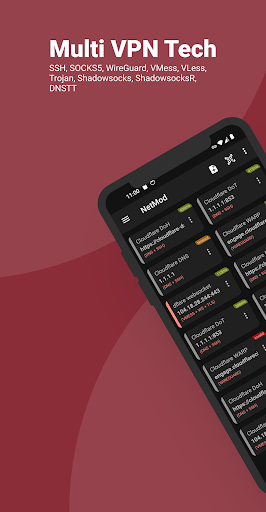 NetMod VPN Client (V2Ray/SSH) 2