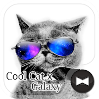 オシャレ壁紙アイコン クールキャット ギャラクシー 無料 Androidアプリ Applion