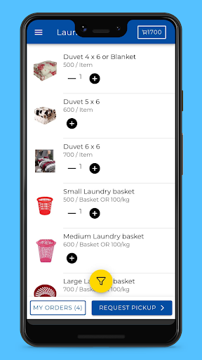 Laundry Pro Screen 2