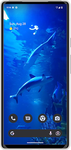 Android application White Shark HD Video Wallpaper screenshort